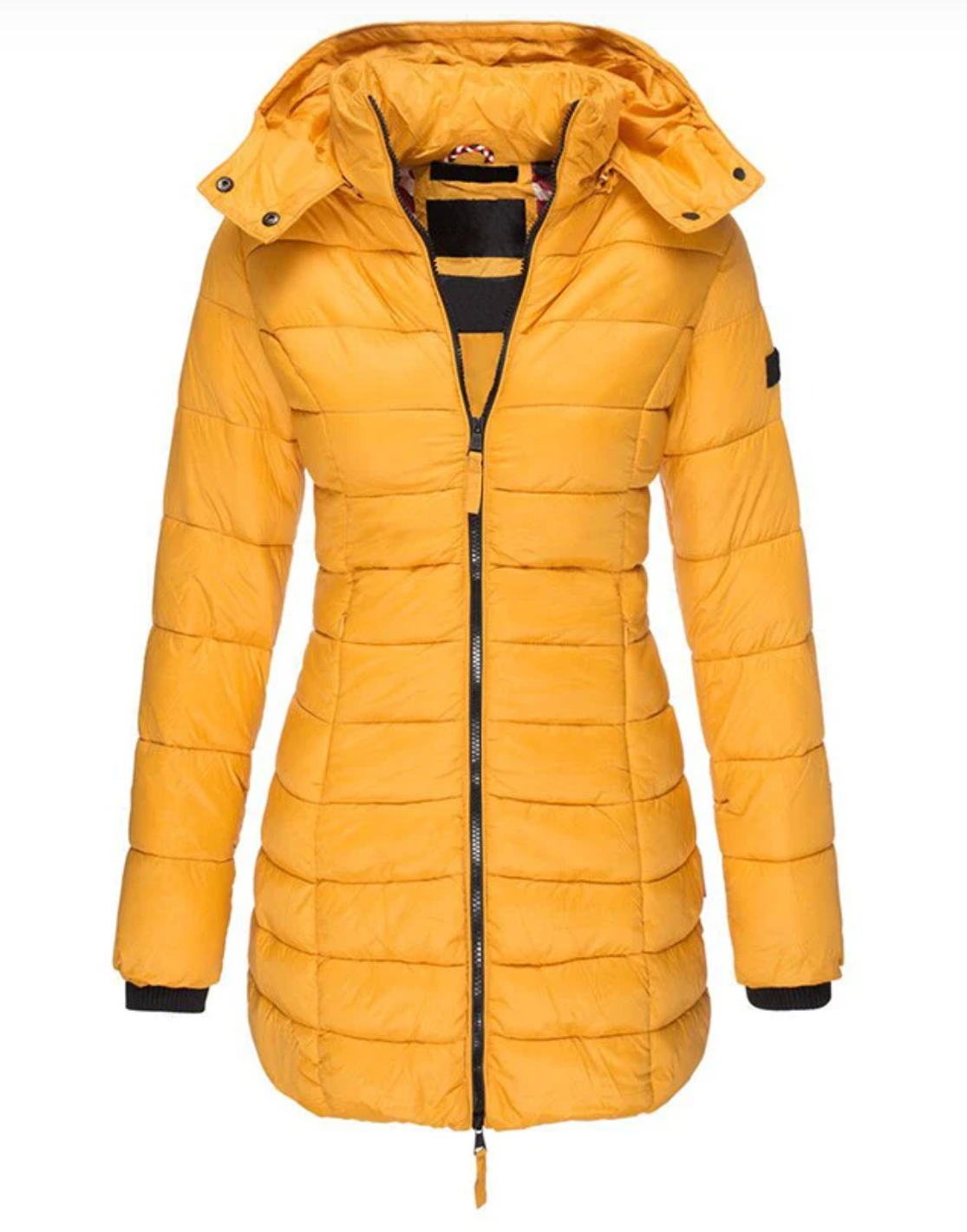 Variant image for Damjacka med huva och blixtlås i polyester för kalla dagar-7