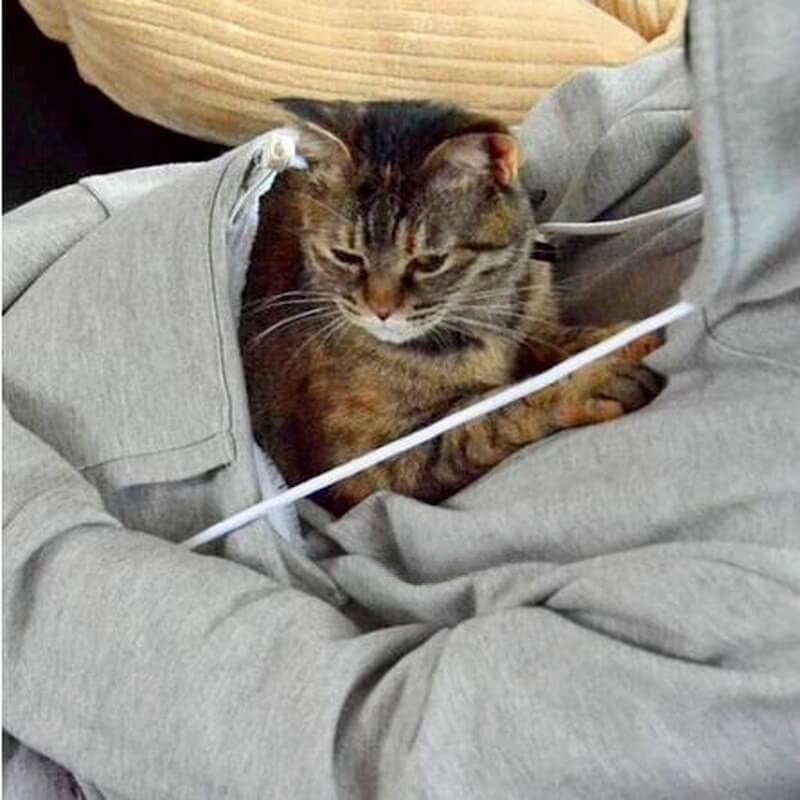 Kvinnors Hoodie Avslappnad Bomullpolyester Med Broderade Blixtfickor-4