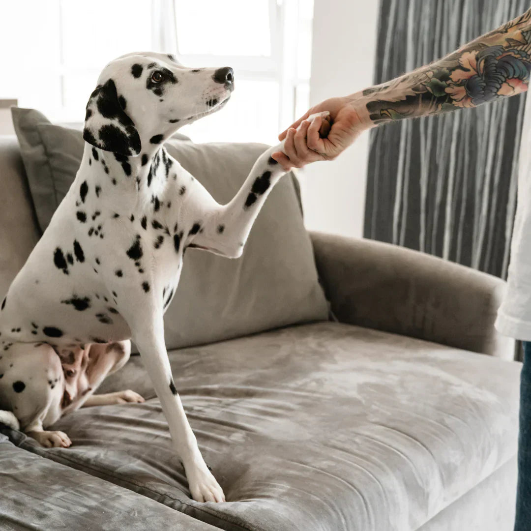 Dam Hoodie Lösa Passform Fleece med Hundmotiv-2