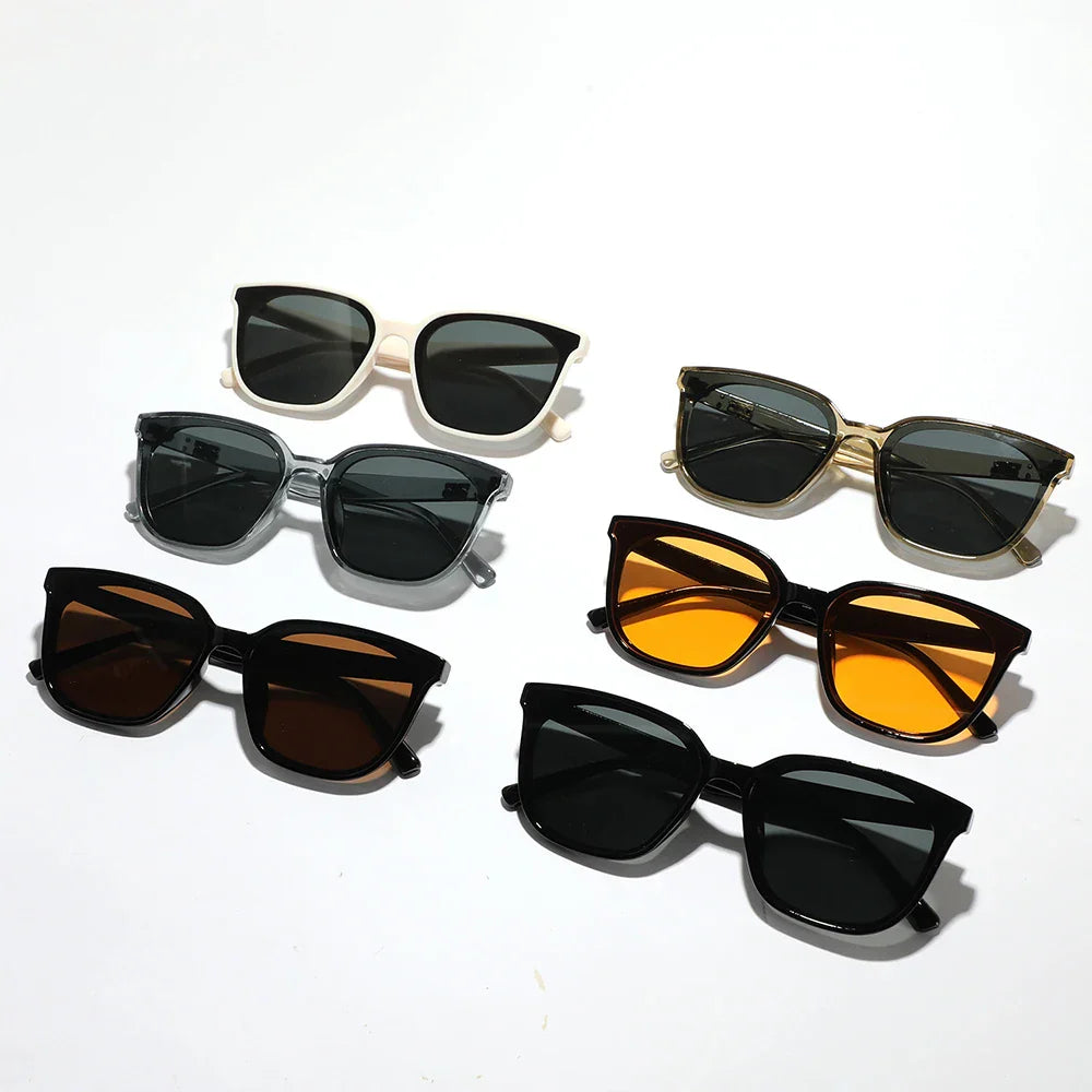 Dam Wayfarer Solglasögon UV400 Polykarbonat-2