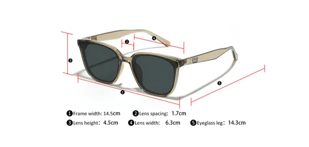 Dam Wayfarer Solglasögon UV400 Polykarbonat-3