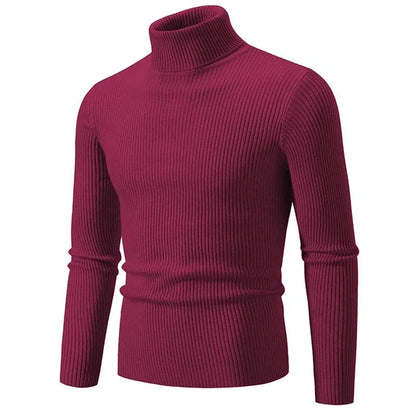 Variant image for Stickad Dam Tröja Randig Turtleneck Akrylblandning-31