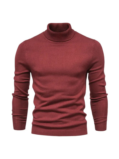 Variant image for Herr Turtleneck Tröja Stickad Klassisk Material-26