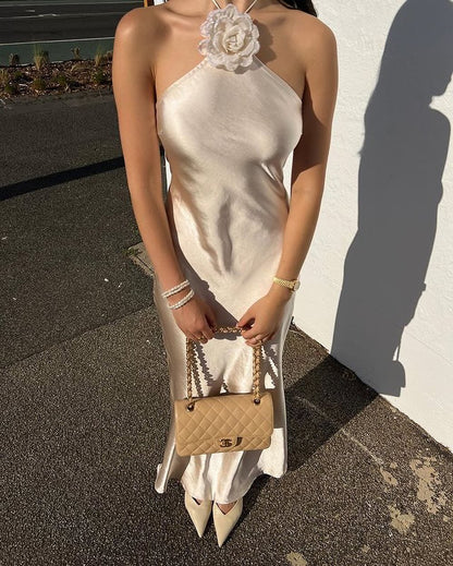 Maxiklänning Dam med Halsinnehavare och Öppen Rygg i Wolff-Fiber-4