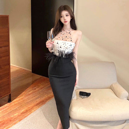 Variant image for Dam Aftonklänning Lång Off-Shoulder Med Pärlor och Fjädrar-1