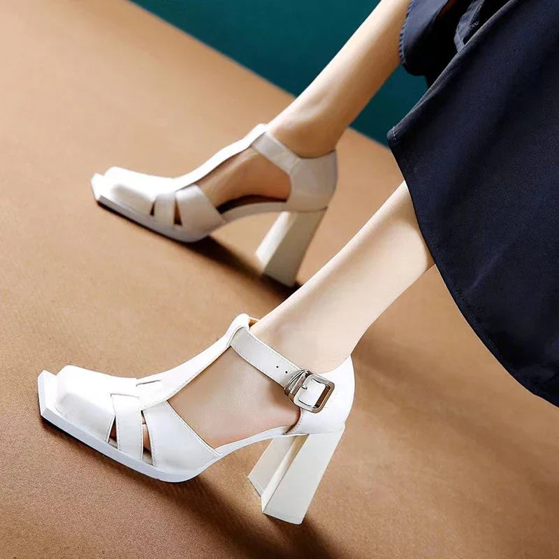 Variant image for Dam Skor Fyrkantig Tå Färgläder Pumpar-3