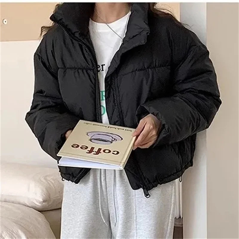 Herr Vindjacka Funktionell Polyester Lättviktsdesign-2