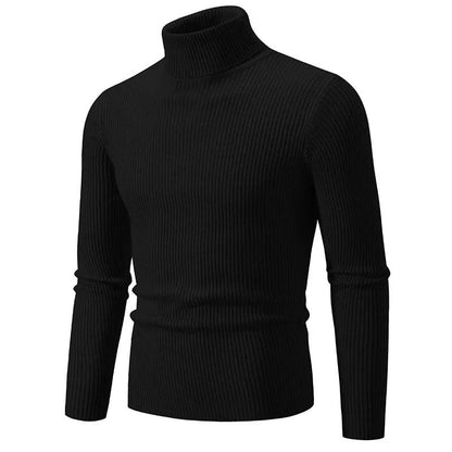 Variant image for Stickad Dam Tröja Randig Turtleneck Akrylblandning-6
